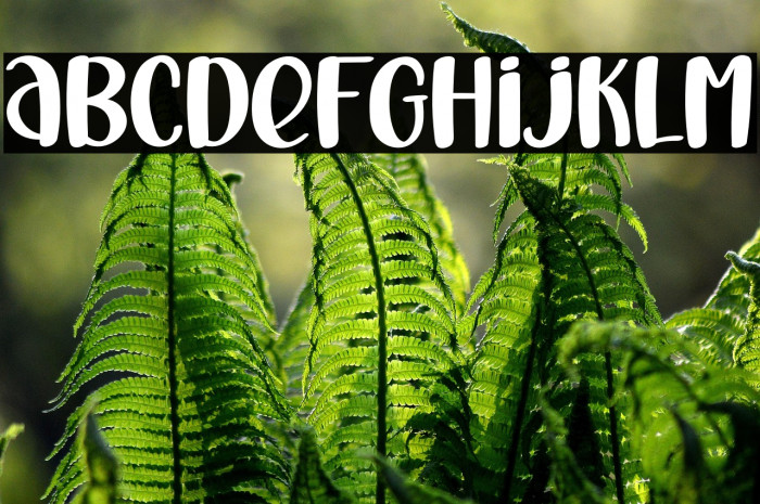 Vitamin Sea Example 3