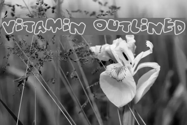 Vitamin outlined フォント examples