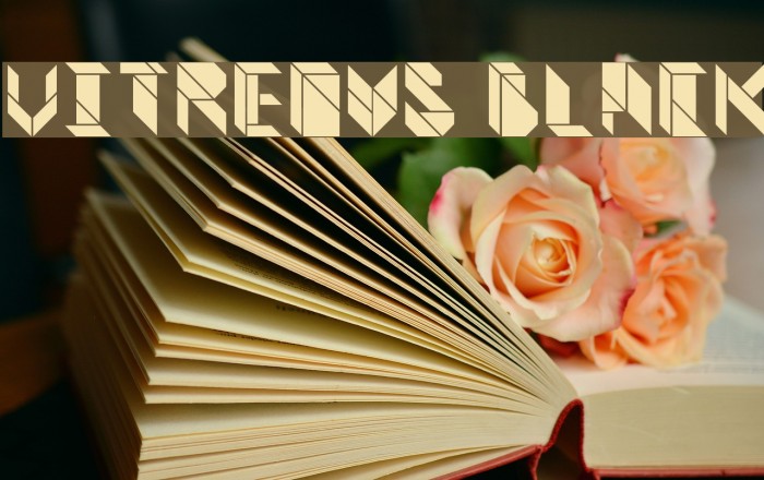 Vitreous Black Font examples
