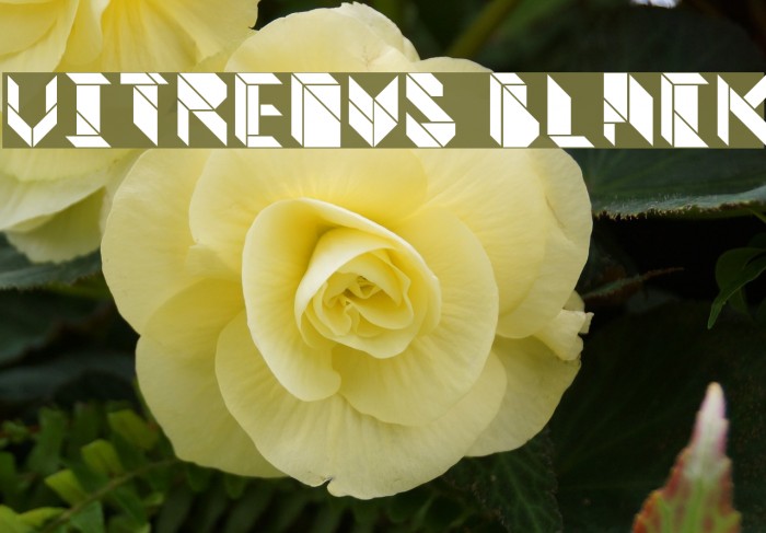 Vitreous Black Font examples
