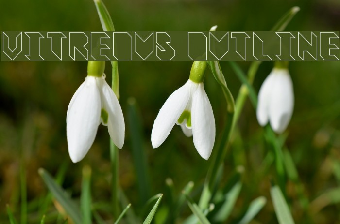 Vitreous Outline Font examples