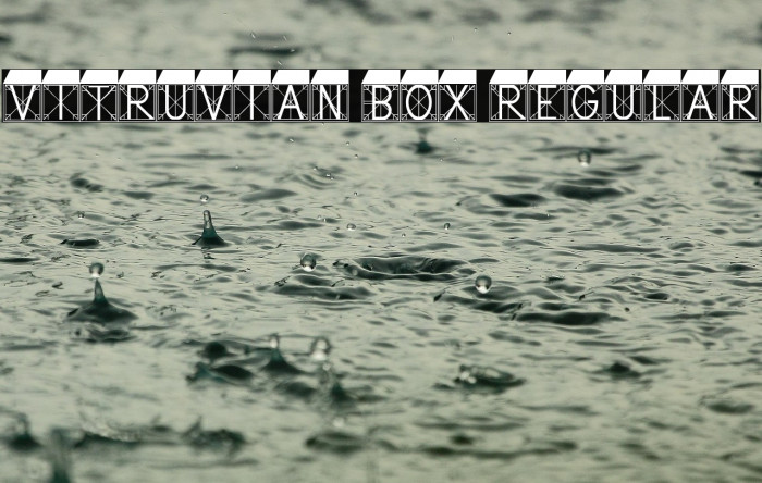 Vitruvian Box Regular Example 1