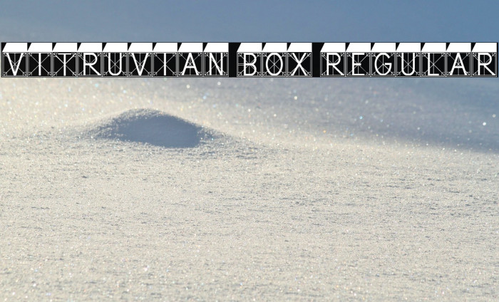 Vitruvian Box Regular Example 2