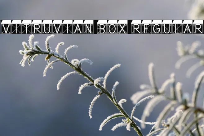 Vitruvian Box Regular Example 3