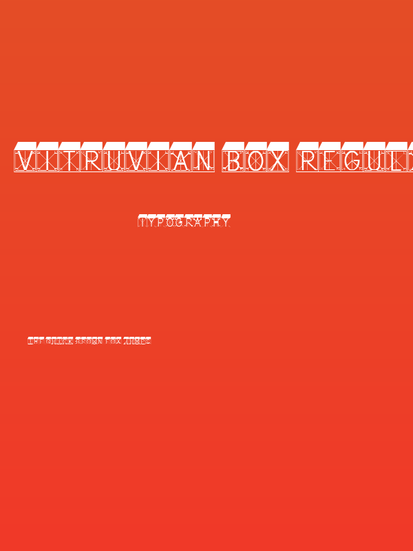 Vitruvian Box Regular Poster