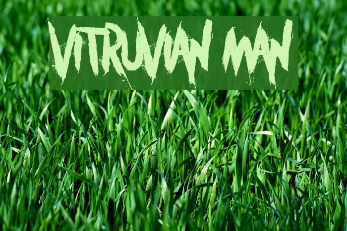 Vitruvian Man Example 1