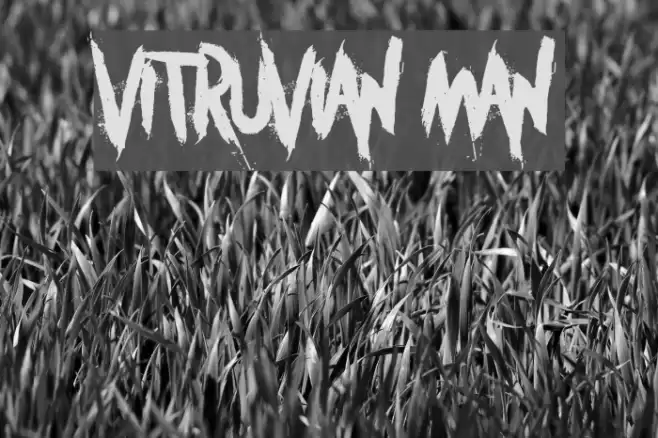 Vitruvian Man Font examples