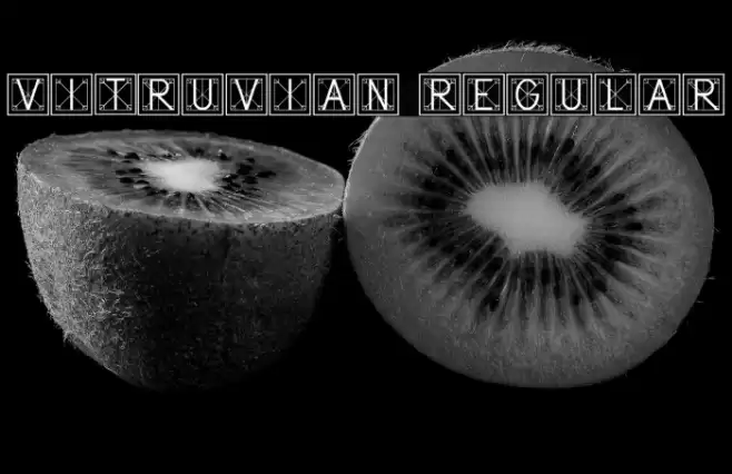 Vitruvian Regular Font examples