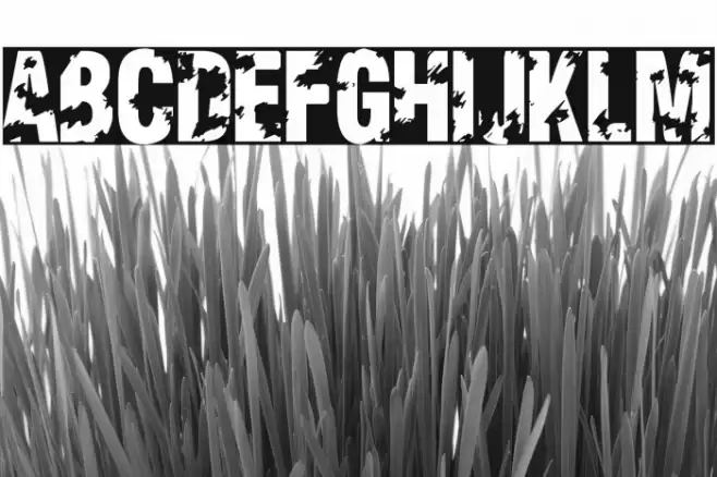 Viva Allende Font examples