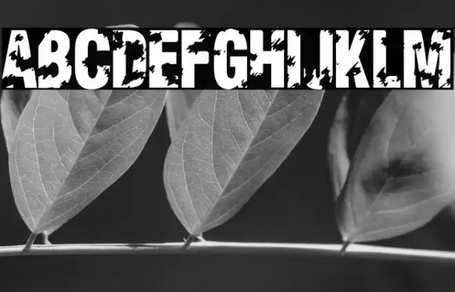 Viva Allende Font examples