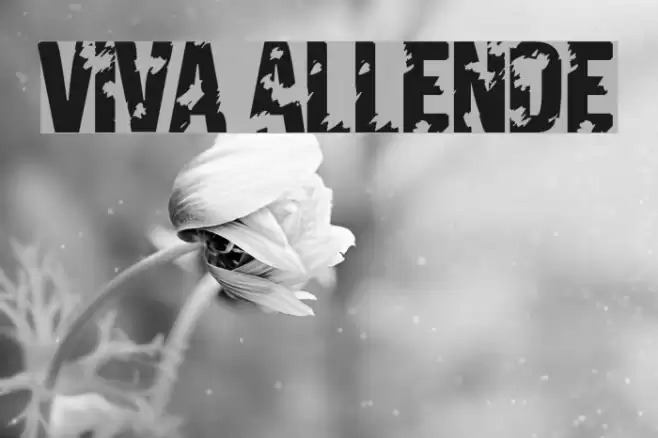 Viva Allende Font examples