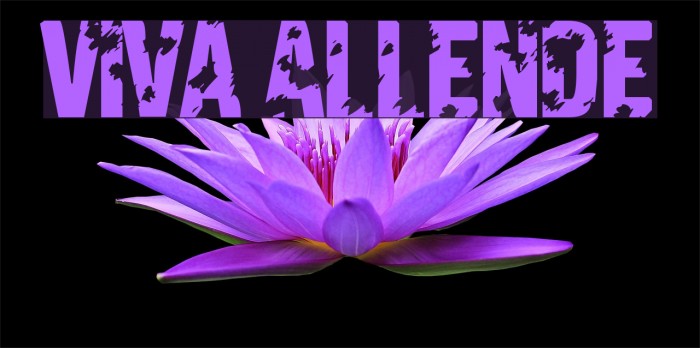 Viva Allende Font examples