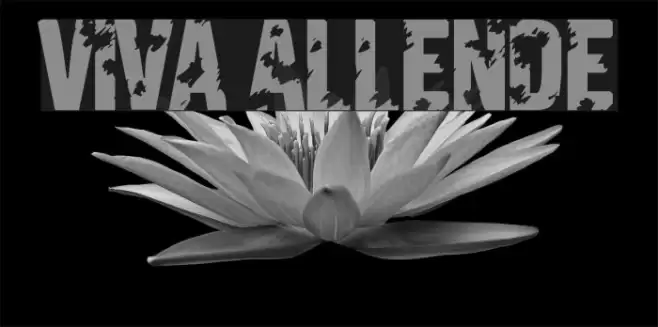 Viva Allende Font examples