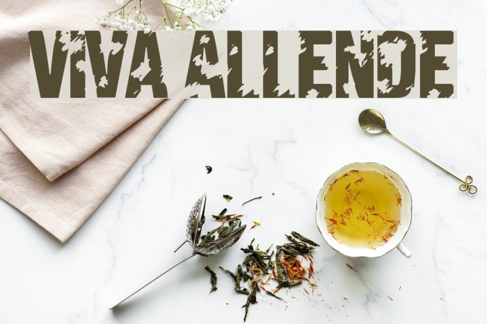 Viva Allende Font examples