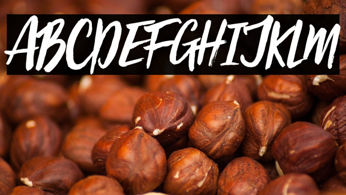 Viva Beautiful Example 1