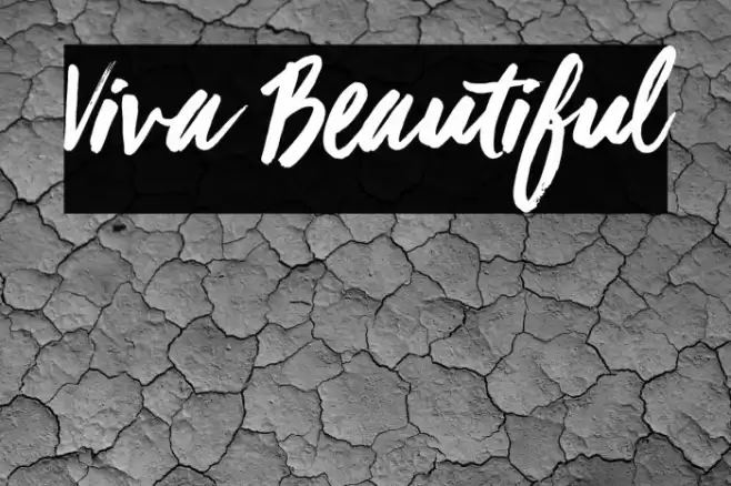 Viva Beautiful Font examples