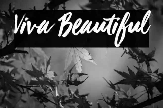 Viva Beautiful Font examples