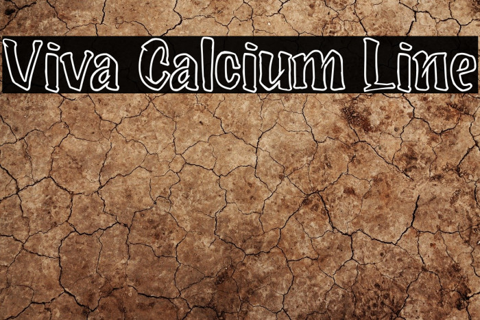 Viva Calcium Line Font examples