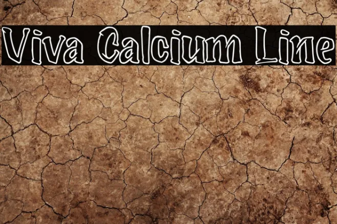 Viva Calcium Line Example 1