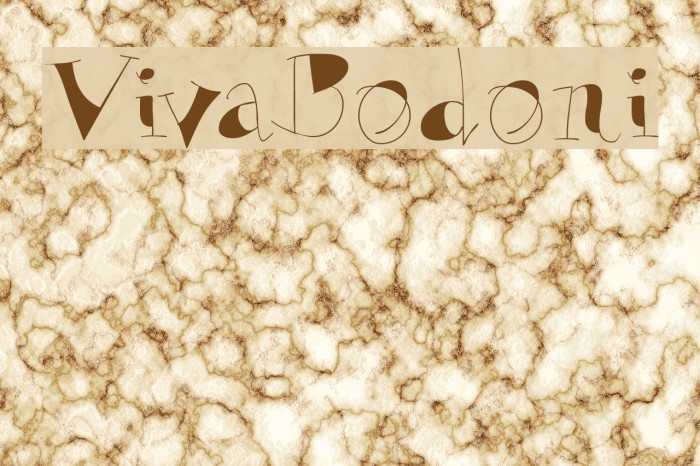 VivaBodoni Font examples