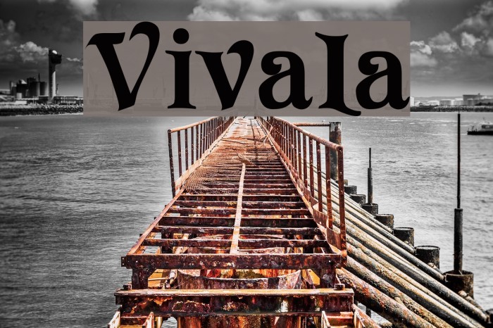 Vivala Font examples