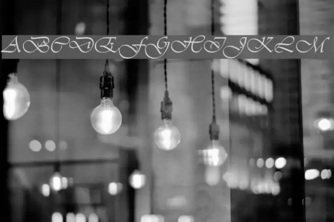 Vivaldi Italic Font examples