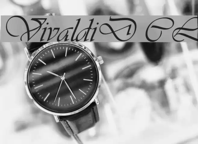 VivaldiD CL フォント examples