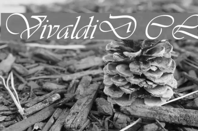 VivaldiD CL フォント examples