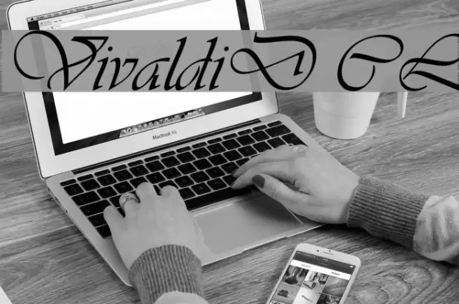 VivaldiD CL フォント examples