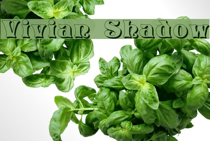 Vivian Shadow Font examples