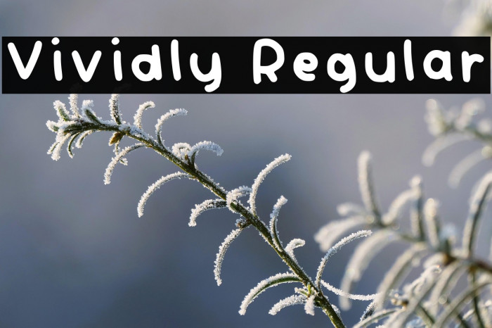 Vividly Regular Example 1