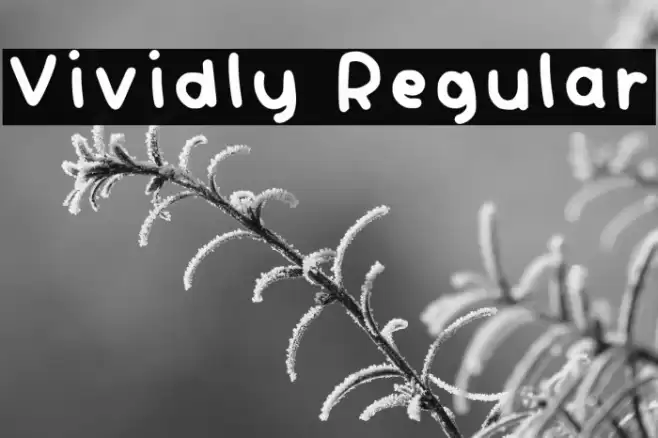 Vividly Regular Font examples
