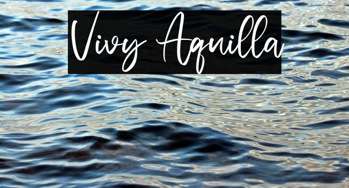 Vivy Aquilla Example 1