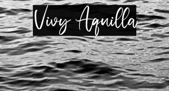 Vivy Aquilla Font examples