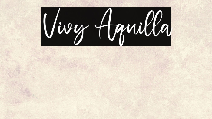 Vivy Aquilla Example 2