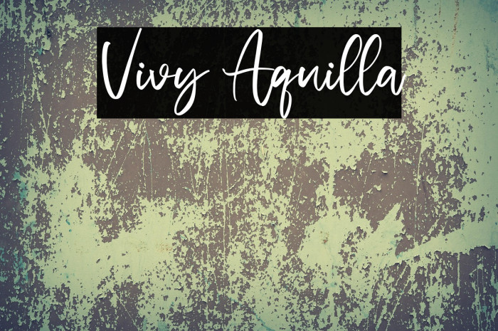 Vivy Aquilla Example 3