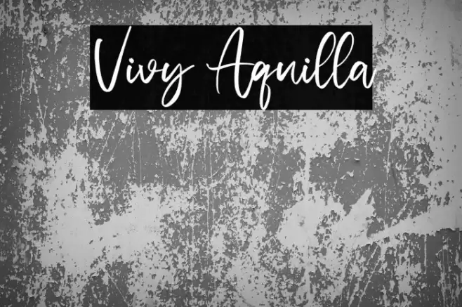 Vivy Aquilla Font examples