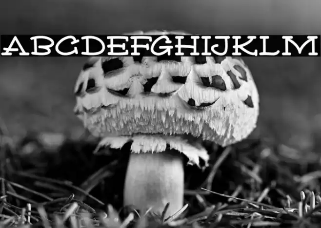 Vixen Deer Font examples