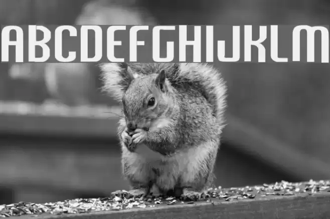 Vixene Font examples