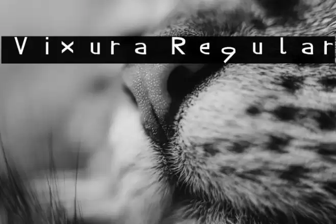 Vixura Regular Font examples