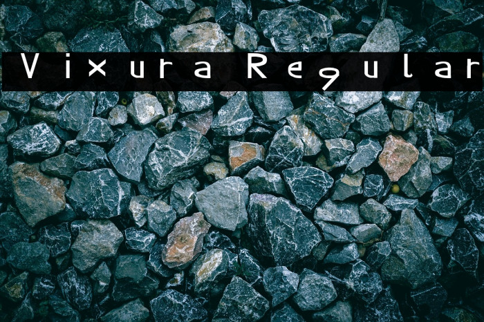 Vixura Regular Example 3