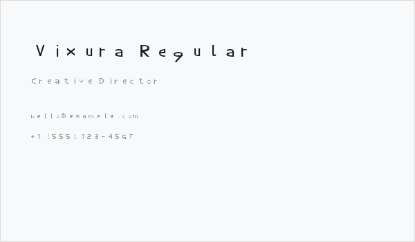 Vixura Regular Business Card