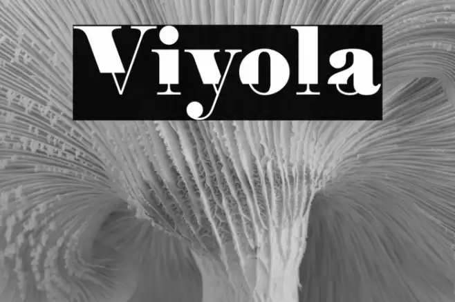Viyola Font examples