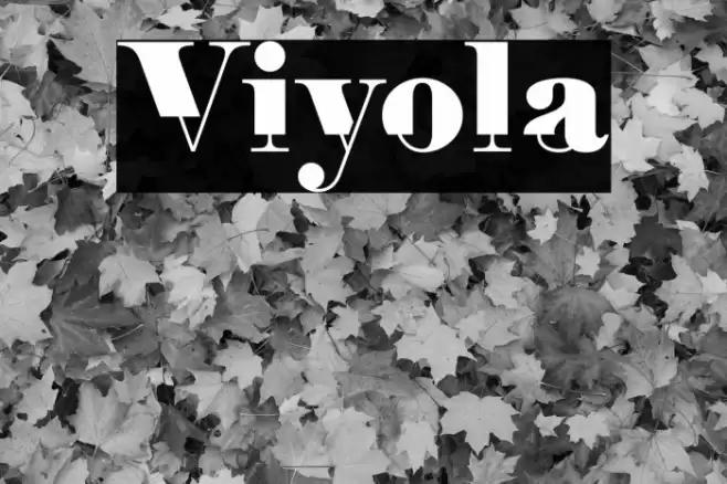 Viyola Font examples