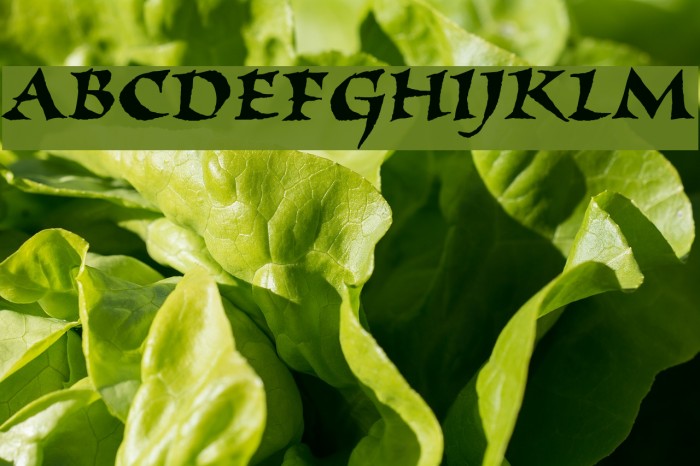 Viza Font examples