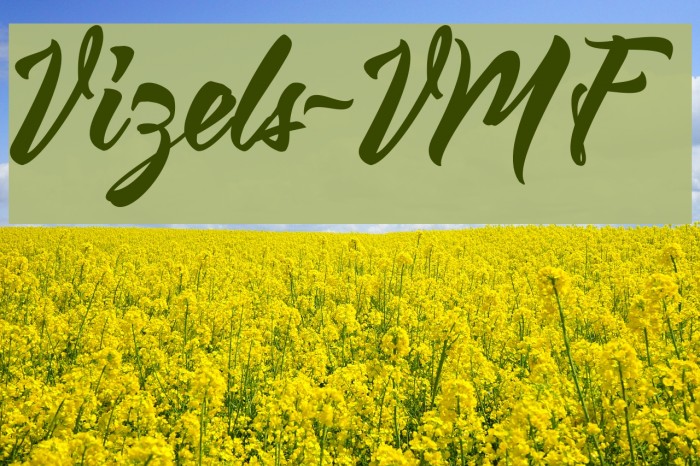 Vizels-VMF Example 2
