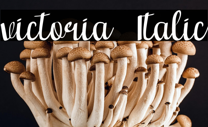 victoria  Italic Example 1