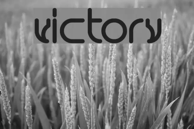 victory Font examples