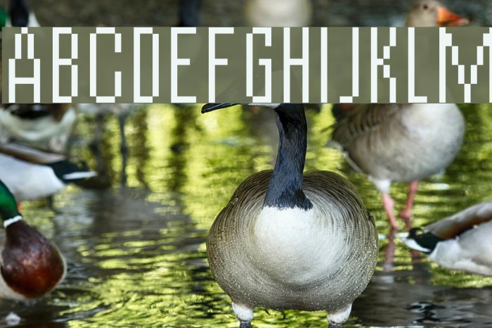 vierzehn plain14px Font examples