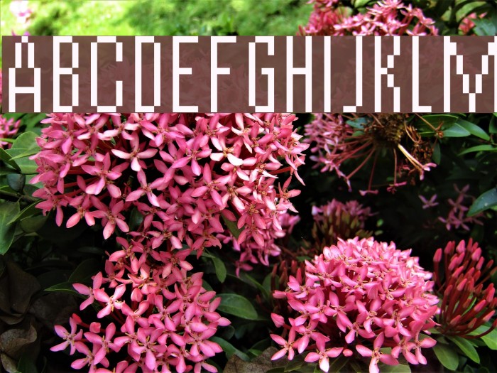 vierzehn plain14px Font examples